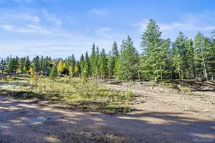 311 Shawnee Rd, Red Feather Lakes, CO 80545 - Photo 39