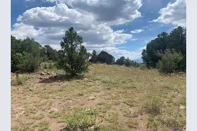 188 Looters Lane, Westcliffe, CO 81252 - Photo 9