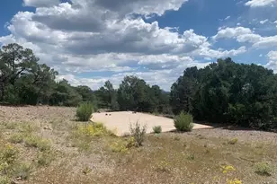 188 Looters Ln, Westcliffe, CO 81252 - Photo 1
