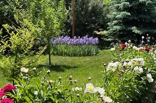 2020 Hwy 42, Louisville, CO 80027 - Photo 43