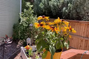 1508 Laurenwood Way, Highlands Ranch, CO 80129 - Photo 27