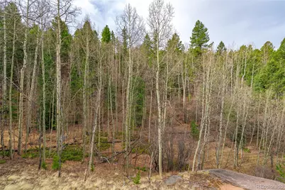 130 Grey Eagle Way, Cripple Creek, CO 80813 - Photo 11