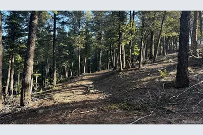 461 Paradiso Road, Divide, CO 80814 - Photo 19