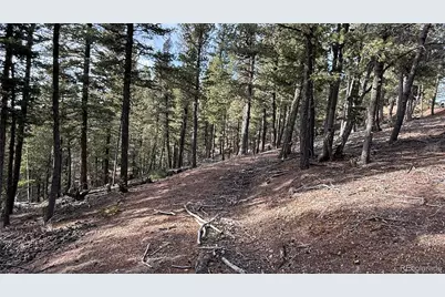 461 Paradiso Road, Divide, CO 80814 - Photo 3