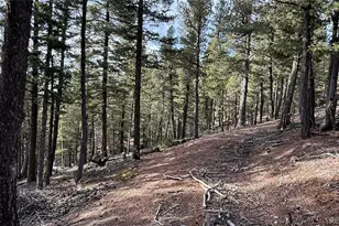 461 Paradiso Rd, Divide, CO 80814 - Photo 1