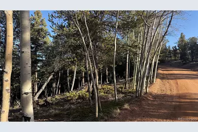 461 Paradiso Road, Divide, CO 80814 - Photo 9