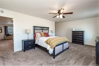 6563 Globeflower Street, Wellington, CO 80549 - Photo 13