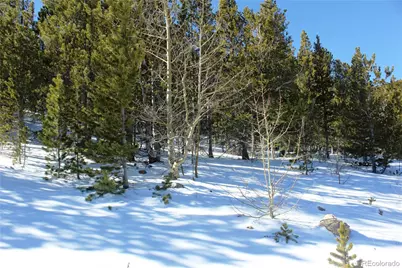 309 Aspen, Idaho Springs, CO 80453 - Photo 5