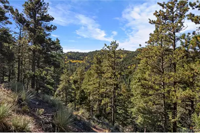 13126 Andiron Way, Larkspur, CO 80118 - Photo 3
