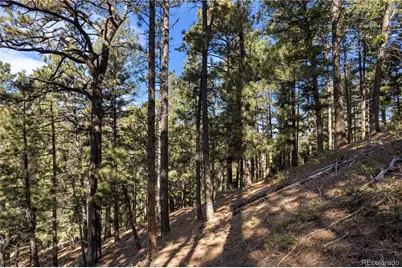 13126 Andiron Way, Larkspur, CO 80118 - Photo 7