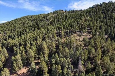 13126 Andiron Way, Larkspur, CO 80118 - Photo 19