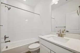 1162 Weller St, Timnath, CO 80547 - Photo 23