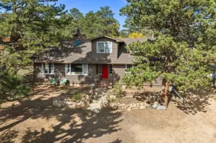 40 Ski Rd, Allenspark, CO 80510 - Photo 45