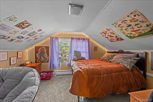 40 Ski Rd, Allenspark, CO 80510 - Photo 19