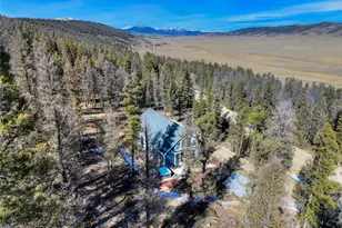 2755 Redhill Rd, Fairplay, CO 80440 - Photo 9