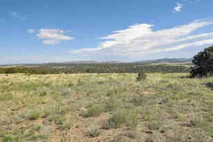 800 Wet Mountain Trail, Westcliffe, CO 81252 - Photo 43