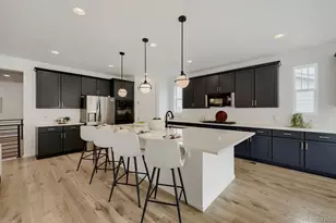 5208 Silver Hare Ct, Castle Rock, CO 80104 - Photo 3