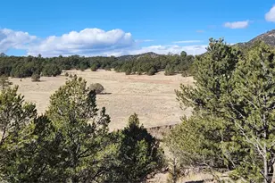 311 Kit Carson Trail, Cotopaxi, CO 81223 - Photo 1