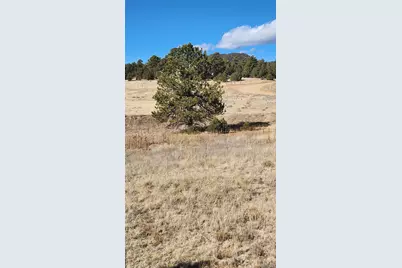 311 Kit Carson Trail, Cotopaxi, CO 81223 - Photo 5