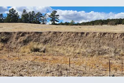 311 Kit Carson Trail, Cotopaxi, CO 81223 - Photo 19