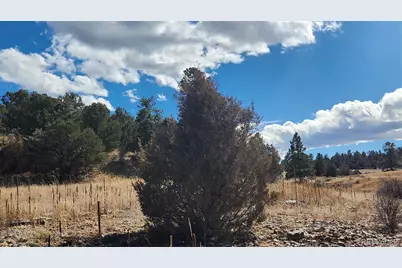 311 Kit Carson Trail, Cotopaxi, CO 81223 - Photo 23