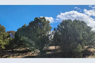 311 Kit Carson Trail, Cotopaxi, CO 81223 - Photo 15