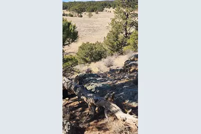 311 Kit Carson Trail, Cotopaxi, CO 81223 - Photo 17