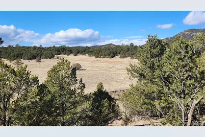 311 Kit Carson Trail, Cotopaxi, CO 81223 - Photo 9