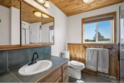 194 Long Ridge Drive, Bailey, CO 80421 - Photo 21