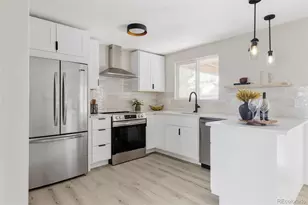 316 Aquarius Ct, Lone Tree, CO 80124 - Photo 7