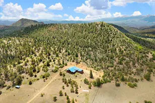 2891 Bird Point Dr, Cotopaxi, CO 81223 - Photo 9