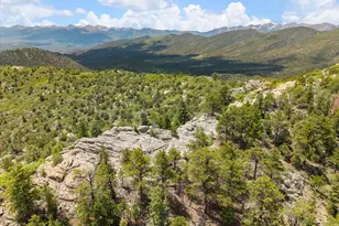 2891 Bird Point Dr, Cotopaxi, CO 81223 - Photo 15