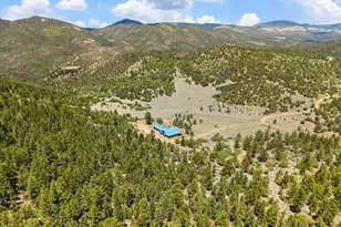 2891 Bird Point Dr, Cotopaxi, CO 81223 - Photo 11