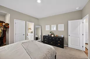 3042 Nectar St, Strasburg, CO 80136 - Photo 19