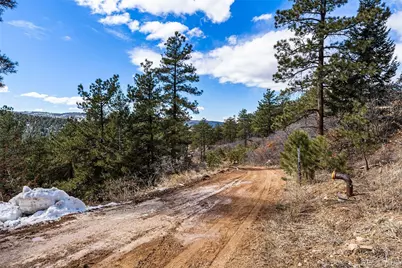 15111 Elk Mountain Trail, Littleton, CO 80127 - Photo 5