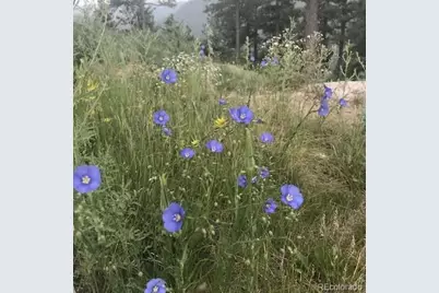 15111 Elk Mountain Trail, Littleton, CO 80127 - Photo 15