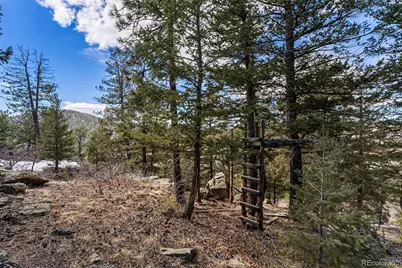 15111 Elk Mountain Trail, Littleton, CO 80127 - Photo 19