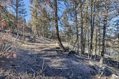 1467 Redhill Road, Fairplay, CO 80440 - Photo 7