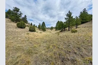 1054 Keepsake Loop, Westcliffe, CO 81252 - Photo 13