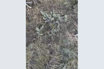 729 Vail Pass Road, South Fork, CO 81154 - Photo 5