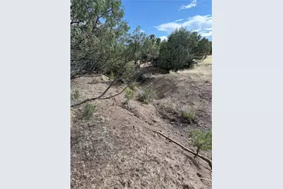 729 Vail Pass Road, South Fork, CO 81154 - Photo 7