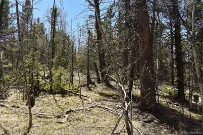 289 Timberline Drive, Guffey, CO 80820 - Photo 19