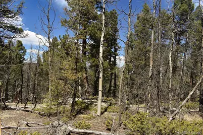 289 Timberline Drive, Guffey, CO 80820 - Photo 15