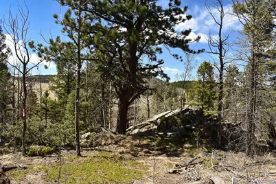 289 Timberline Drive, Guffey, CO 80820 - Photo 1