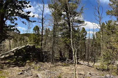 289 Timberline Drive, Guffey, CO 80820 - Photo 9