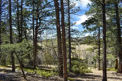 289 Timberline Drive, Guffey, CO 80820 - Photo 5