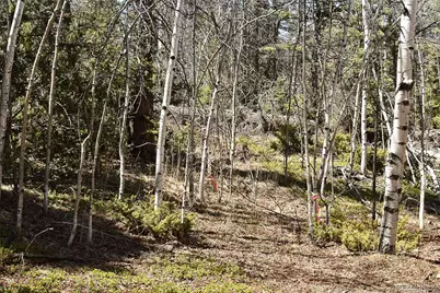 289 Timberline Drive, Guffey, CO 80820 - Photo 13