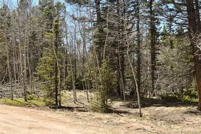 289 Timberline Drive, Guffey, CO 80820 - Photo 21
