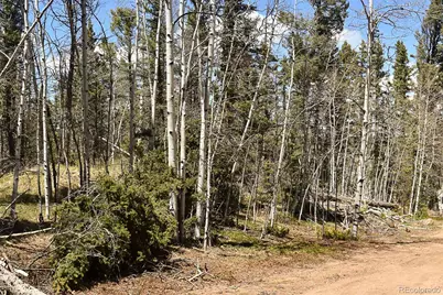 289 Timberline Drive, Guffey, CO 80820 - Photo 23