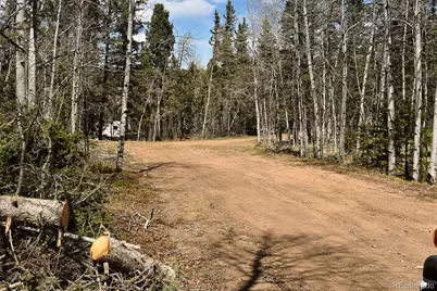 289 Timberline Drive, Guffey, CO 80820 - Photo 25